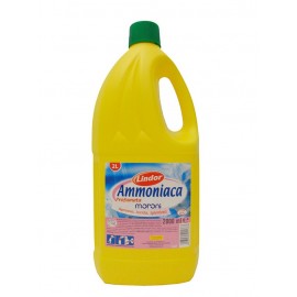 LINDOR Acido Muriatico 1000 ml - Arto Kart